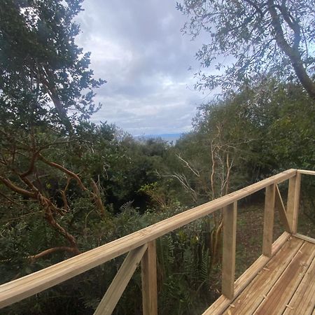 Bordemundo B&B Y Cabanas Пуерто-Варас Екстер'єр фото